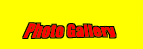 PHOTO GALLERY